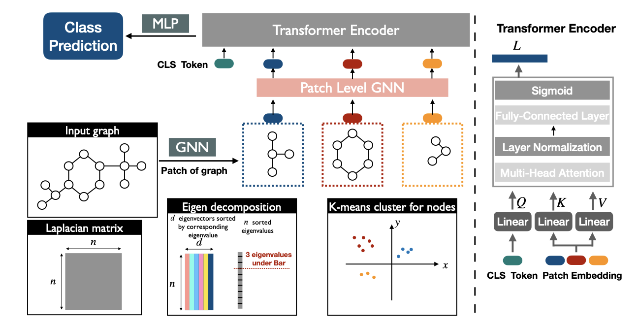 Neural Networks and Symmetry